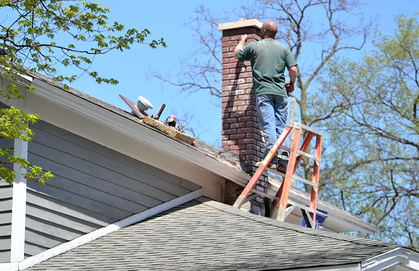 Chimney & Fireplace Inspections Services in Novato, CA